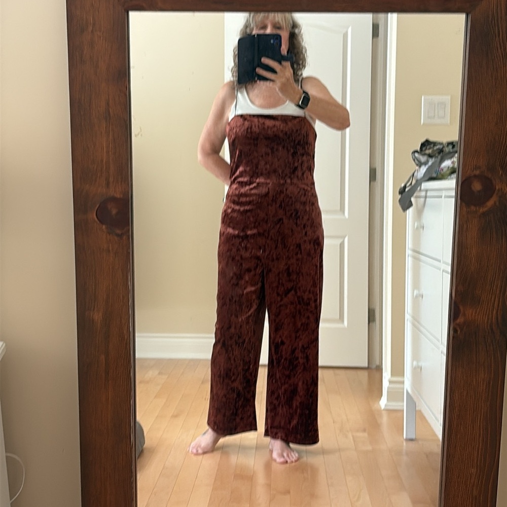 Dynamite Rust Velvet Jumpsuit - Picture 5 of 5